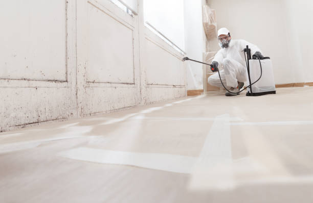 24/7 Emergency Mold Testing experts in Hillsborough, NC